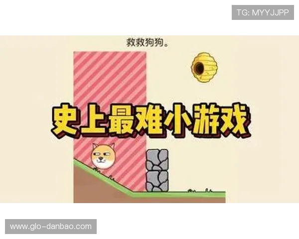 各大经典游戏第一关密码汇总及其背后隐藏的趣味与挑战解析